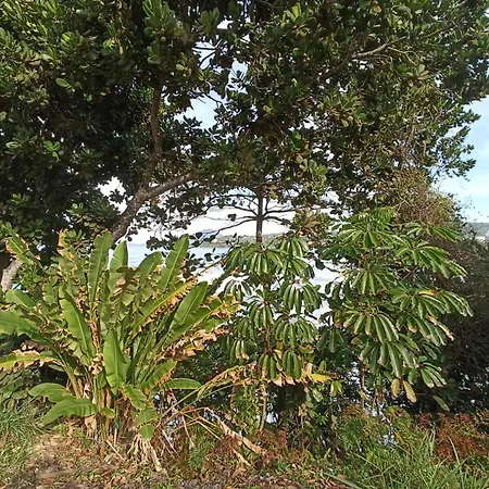 Apartamentos Margarida-2